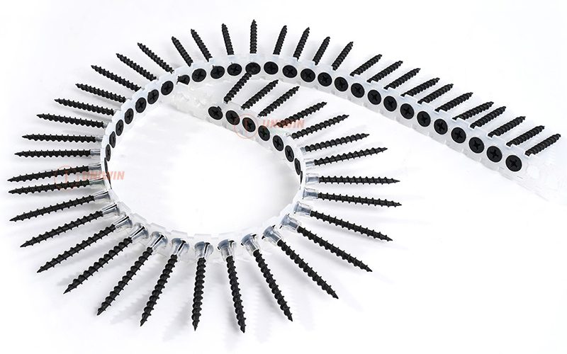 collated drywall screw