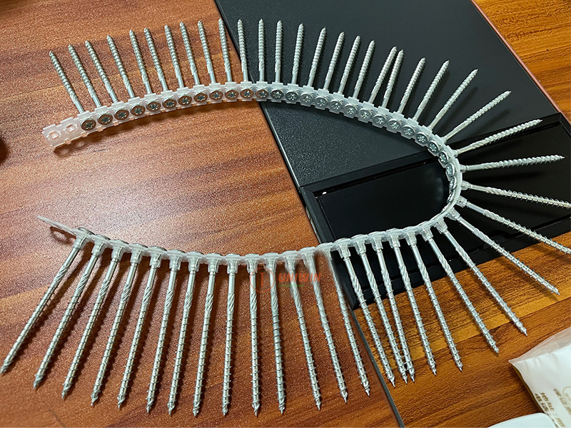 collated drywall screws